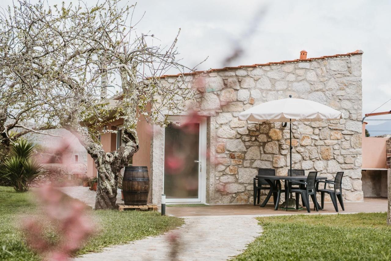 Forno House - Ameixoeira Vila Praia de Âncora المظهر الخارجي الصورة